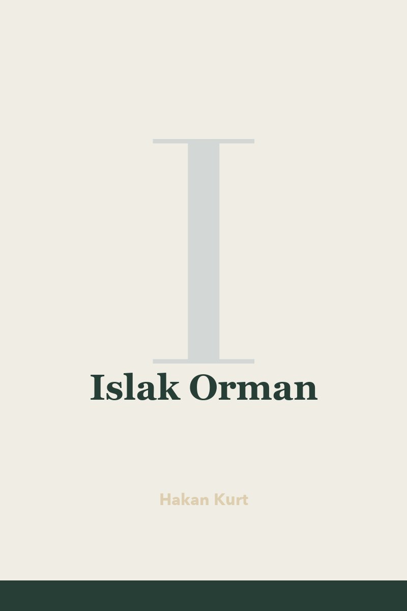 Islak Orman