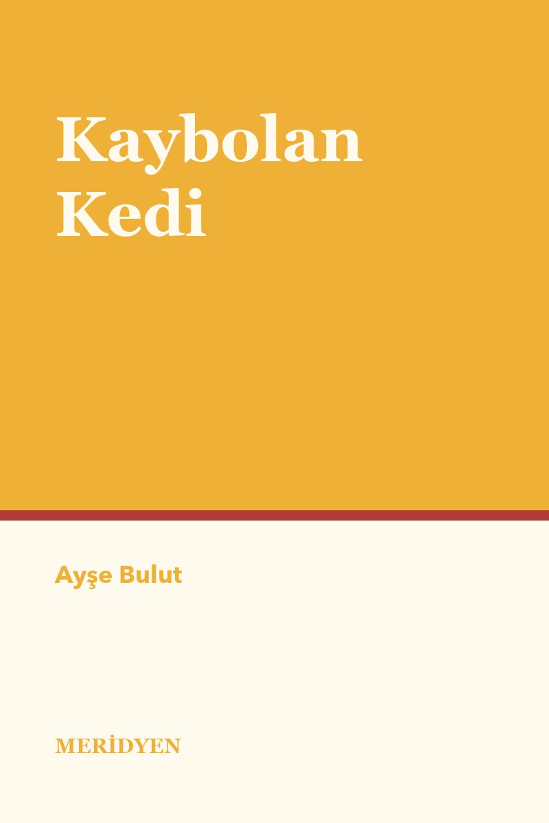 Kaybolan Kedi