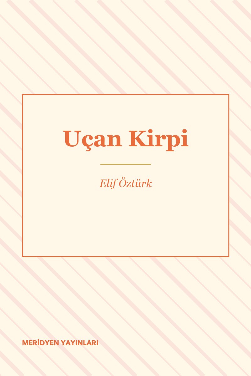Uçan Kirpi