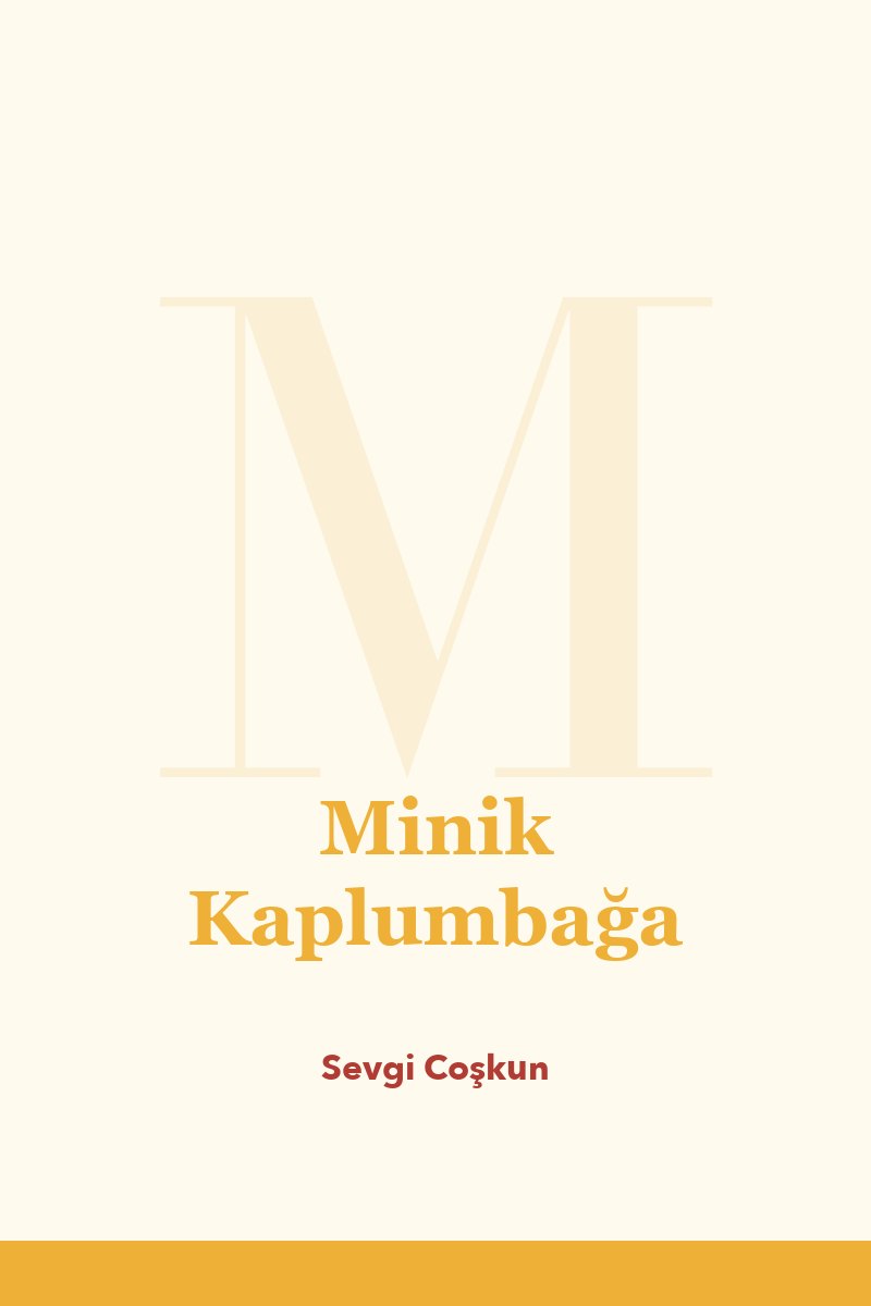 Minik Kaplumbağa