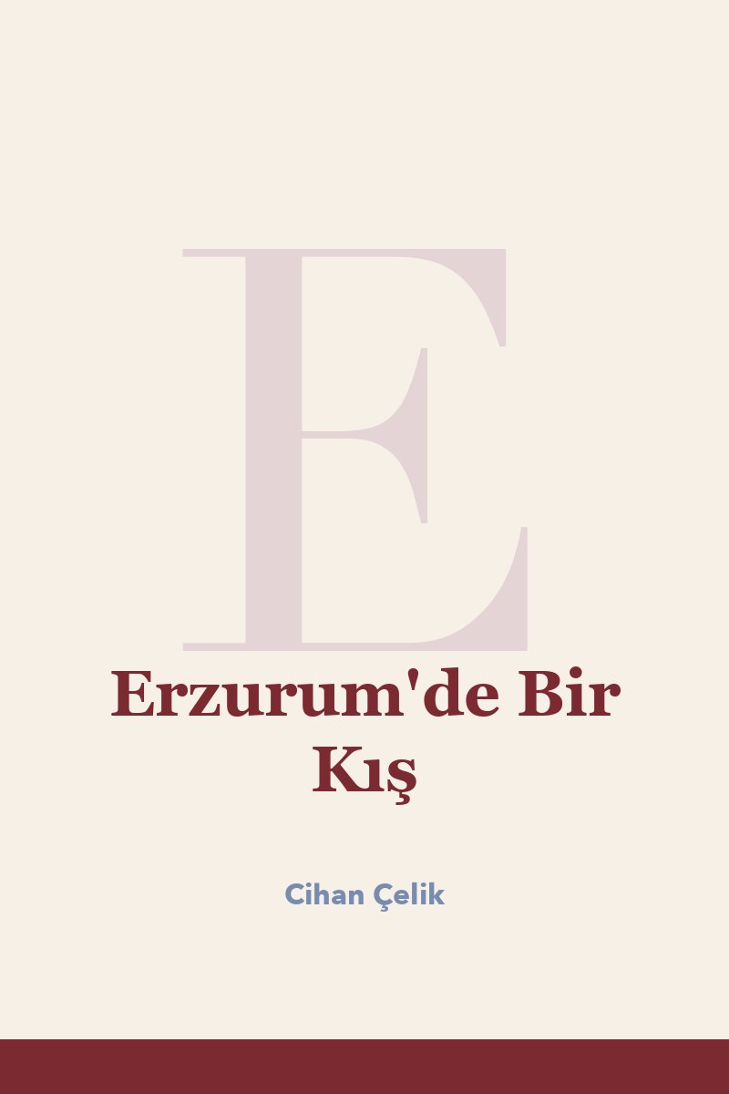 Erzurum'de Bir Kış