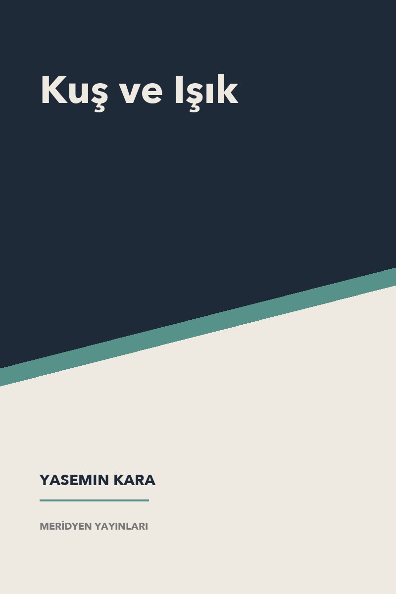 Kuş ve Işık